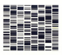 Ryoji Ikeda