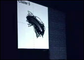 BrainWaves