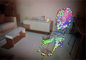 Curious Displays