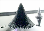 Morpho Towers
