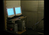 Analog Information