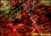 Data_cosm
