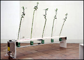 MachineAria
