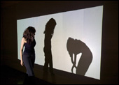 Shadow Bag