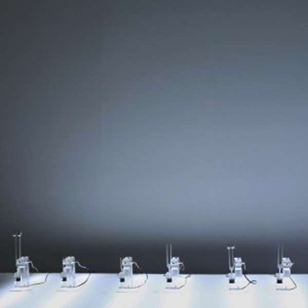 Nicolas Bernier – frequencies (a : fragments)