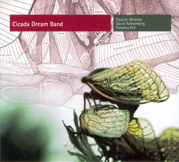 CicadaDreamBandWEB