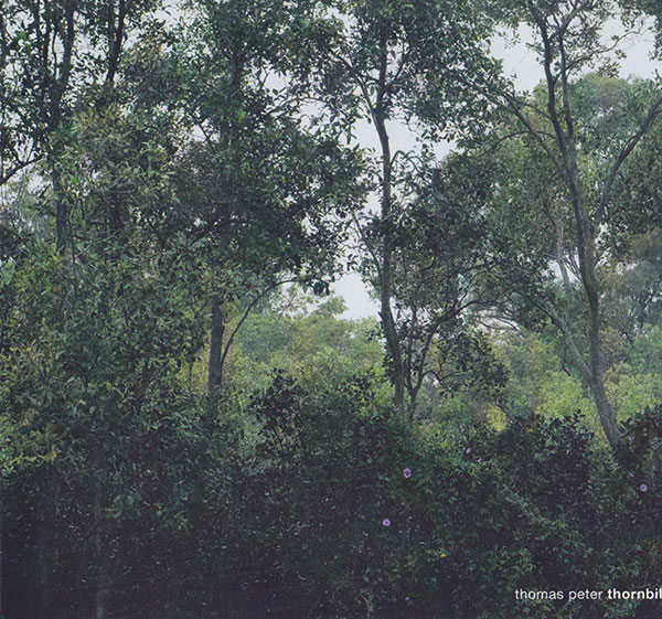 twenty-years-domizil
