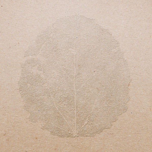 murmer-songs-for-forgetting