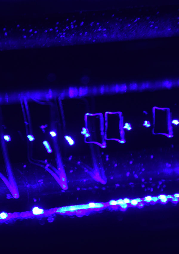 quantumok