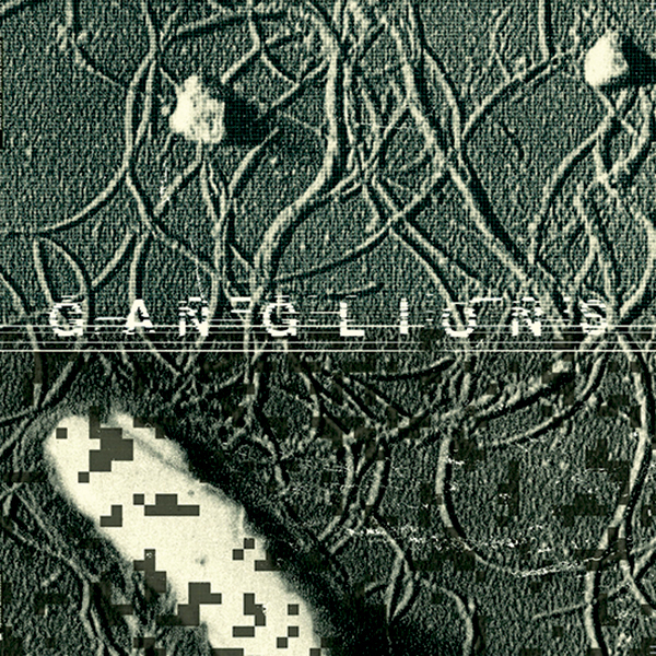 gaudenzbadrutt-ganglionsok