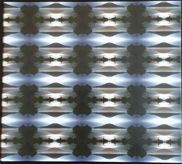eliane-radigue