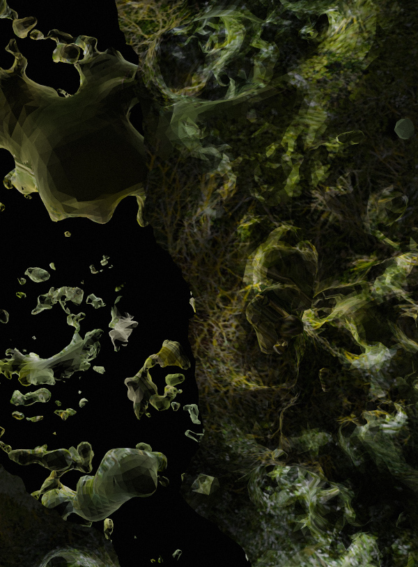 models-for-environmental-literacyok