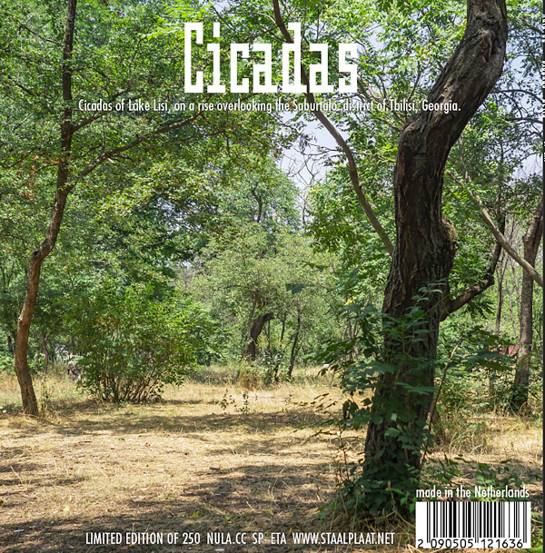 nulacc-cicadas
