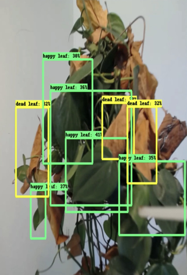 plant-bot-david-bowen