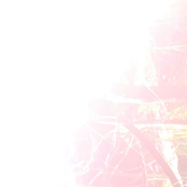 holy-similaun-radicor-al-flort